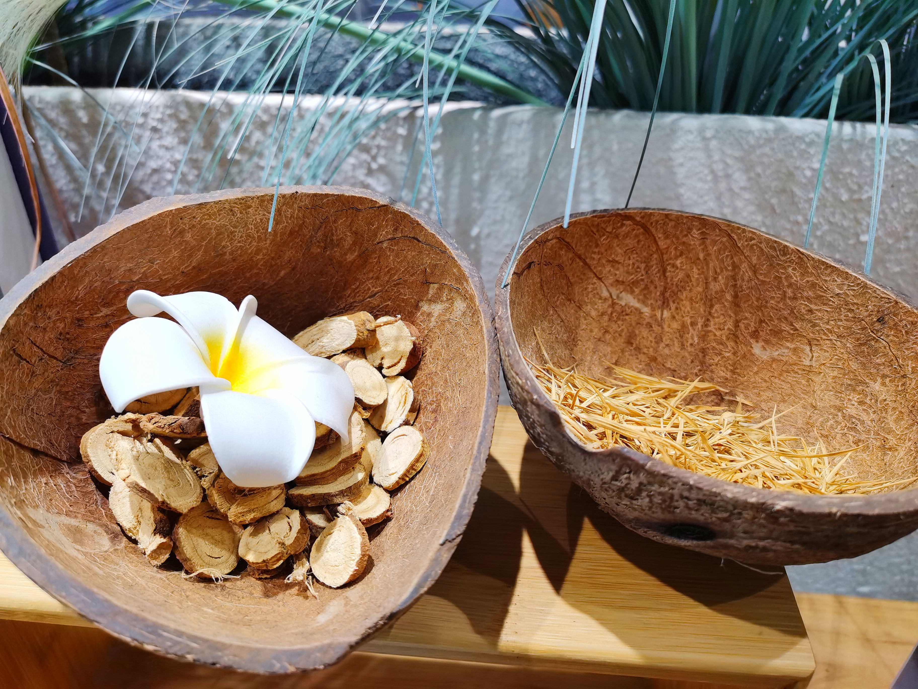 蹊跷！养鸡场丢300多只鸡 小偷竟是只金毛 