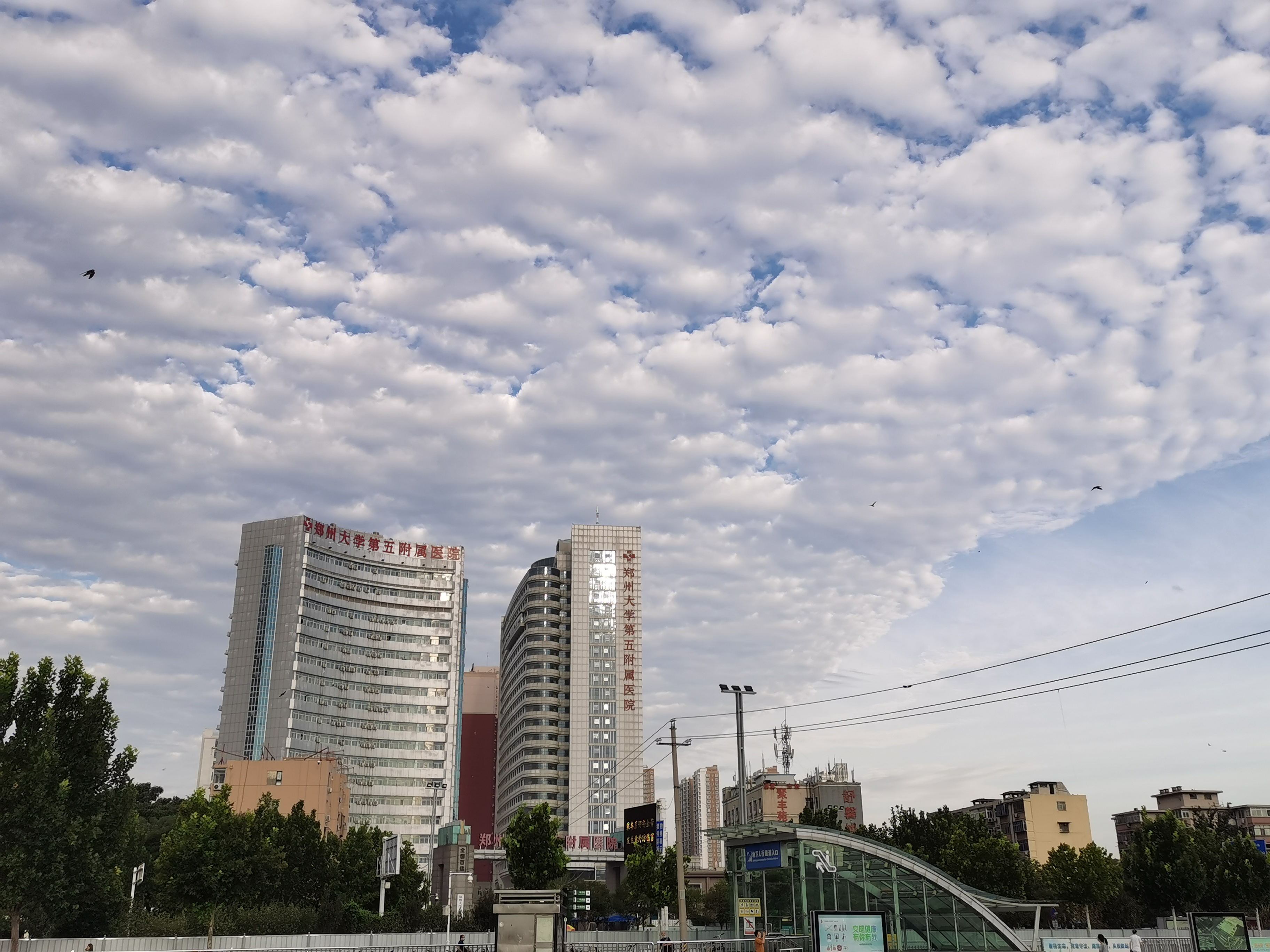 河南教师群发消息讨薪被拘10日后又被政务处分