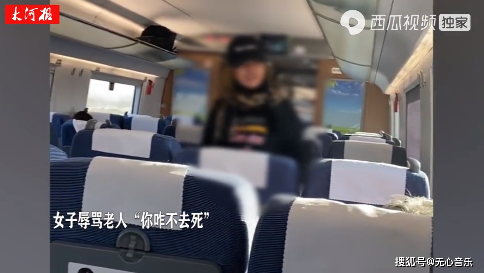 女子高铁辱骂母亲后弃母下车 乘客劝说反遭怼