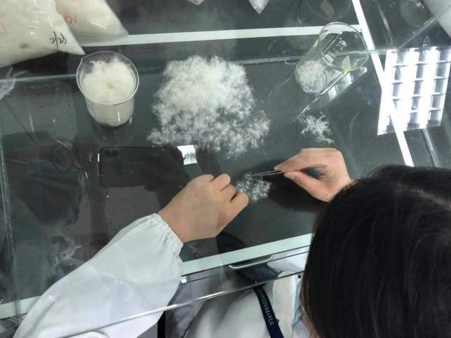 羽绒服抽检报告899批次不合格 有哪些品牌？