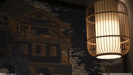 云南勐腊电影院、网吧等全部关停 何时恢复？