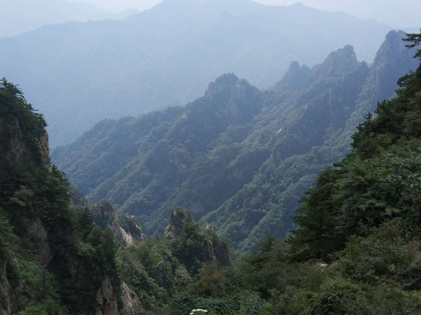 石家庄疫情呈现家庭聚集性特点 发病多