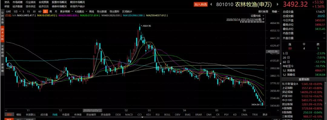 猪肉概念板块成份年内跌幅逾15%，猪价何时见底？