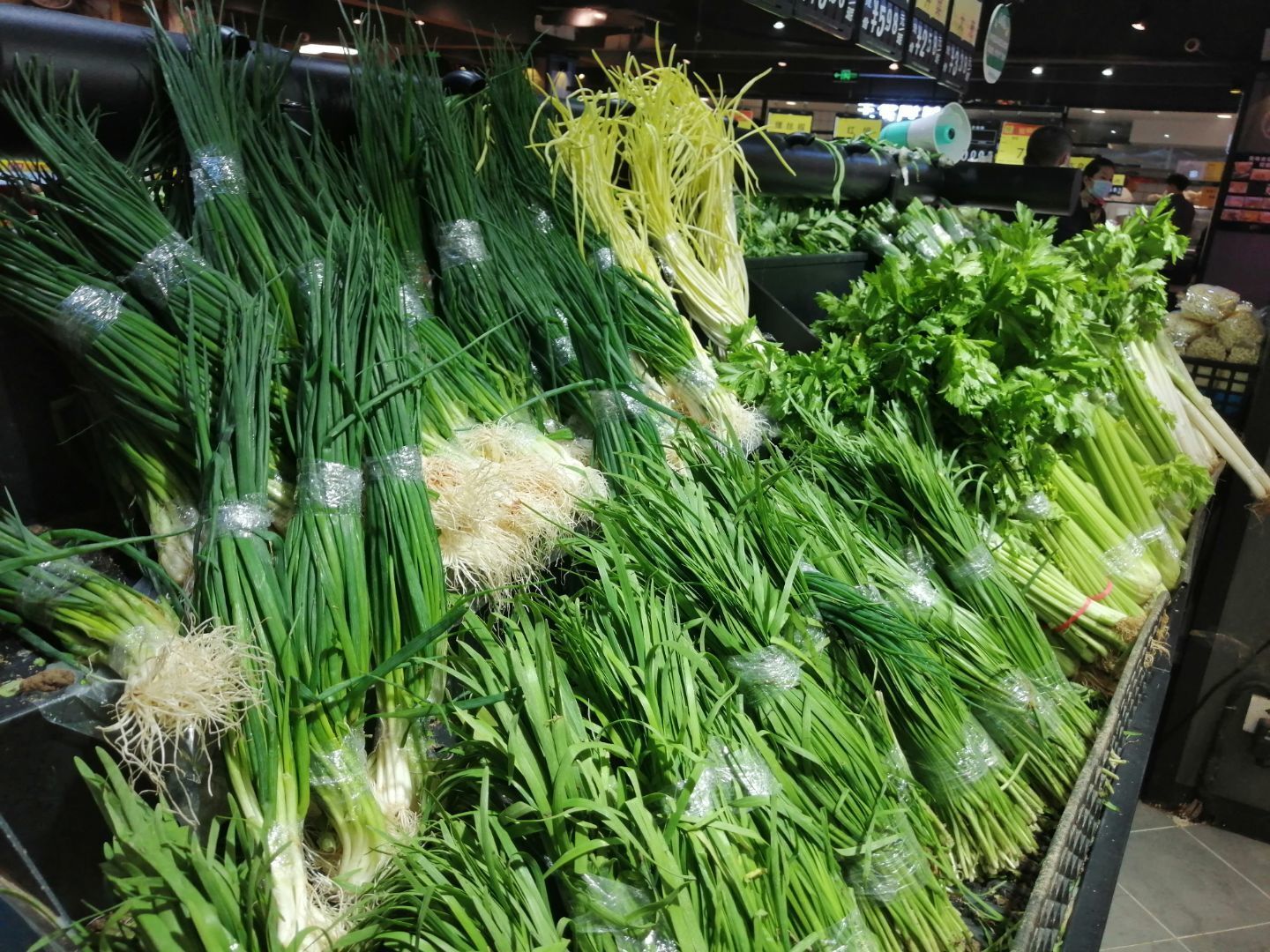 为何今年春节以来全国蔬菜价格持续下行呢？