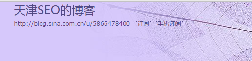 天津seo博客-天津SEO_天津全面网站优化知识