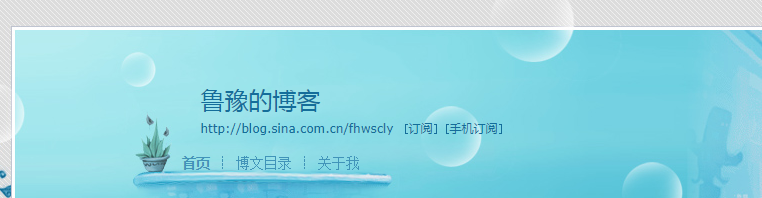 陈鲁豫博客首页简介怎么样？