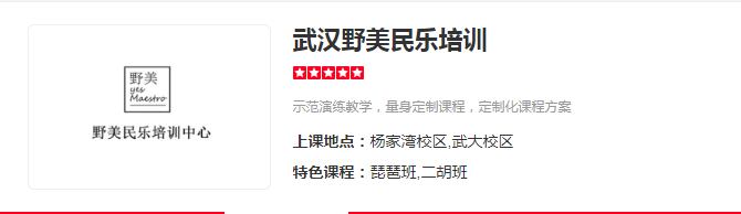 武汉野美民乐培训-野美民乐学校简介