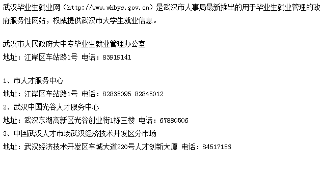 武汉市毕业生就业网简介_武汉毕业生就业管理办公室地址