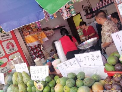 海南：“果盘子”添新品 打造热带特色高效农业