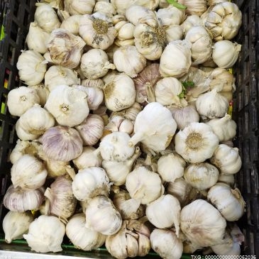 吉林省：线上订购蔬菜包价格偏高、个别质量较差