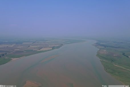 河北沧州大运河沿线春季绿化美化工程启动