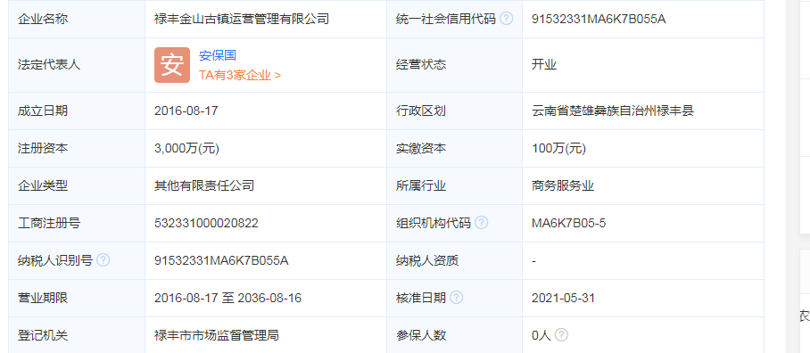 禄丰金山古镇运营公司什么时候成立的？