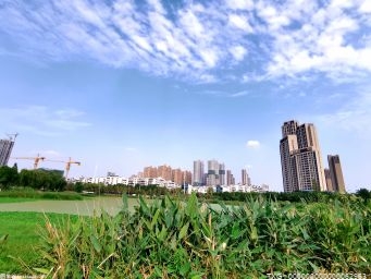 深圳率先走在了城市更新发展的前列 “幸福之城”加速擘画