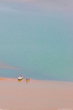 重庆市首次在嘉陵江流域开展水生生物监测调查