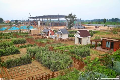 杭州市规划资源局临安分局举办亲子插秧助农耕活动
